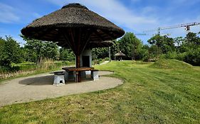Countryside Studio