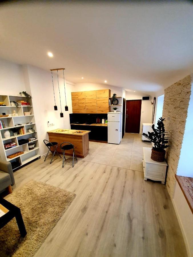 Countryside Studio Borzecin Duzy Zewnętrze zdjęcie