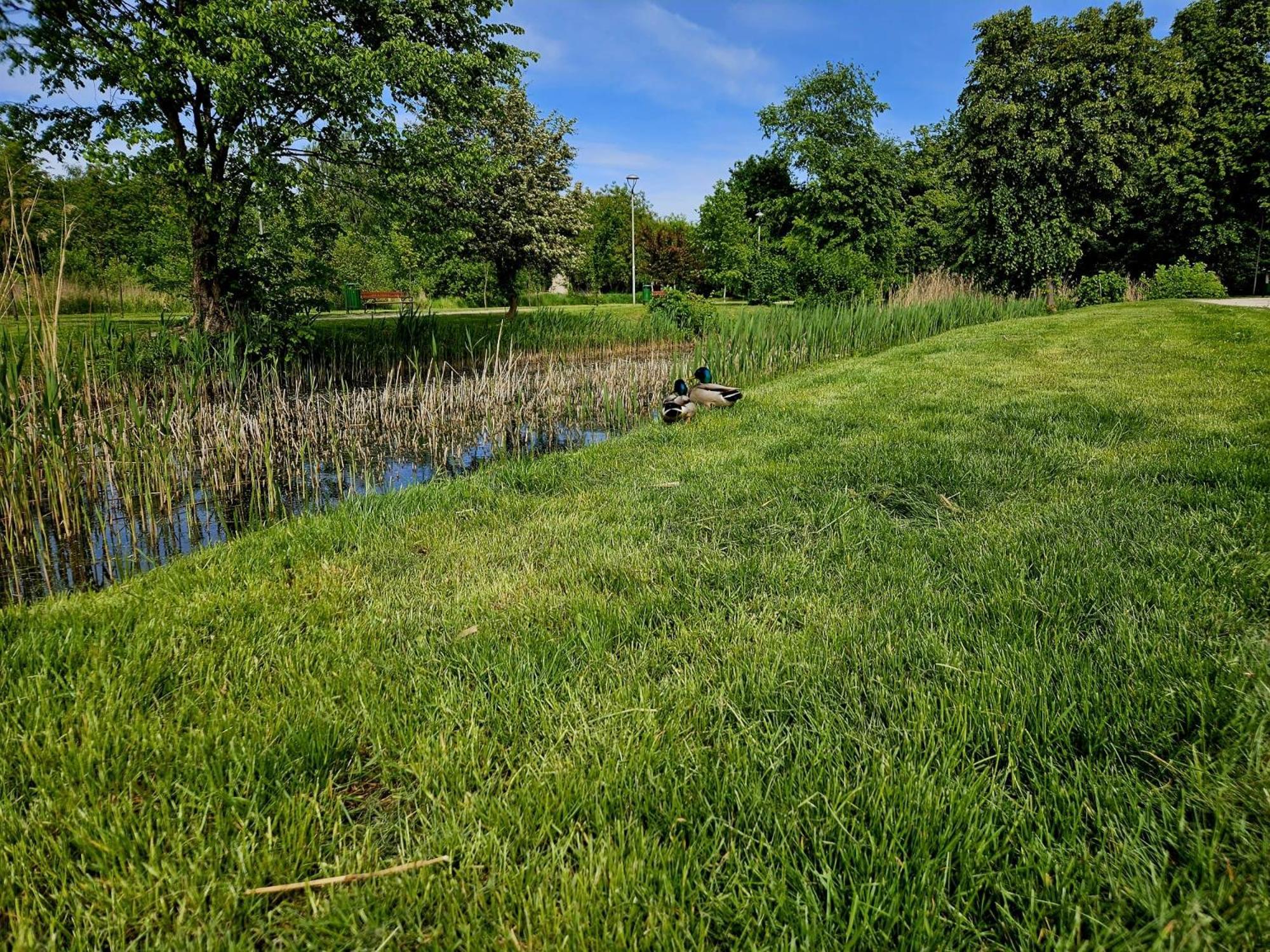 Countryside Studio Borzecin Duzy Zewnętrze zdjęcie
